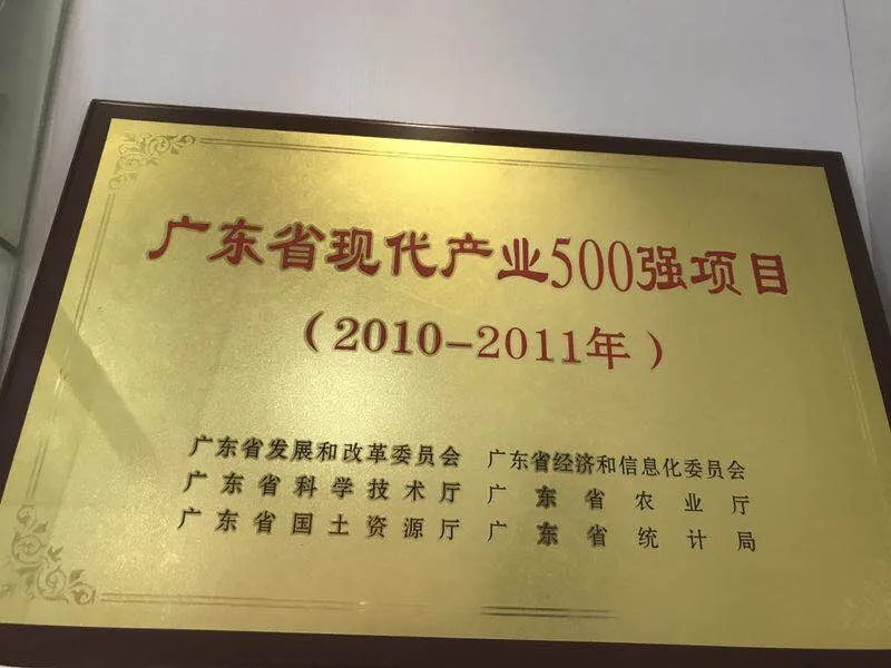BYD Вилочный погрузчик | 2010-2011 провинция Гуандун Современная промышленность 